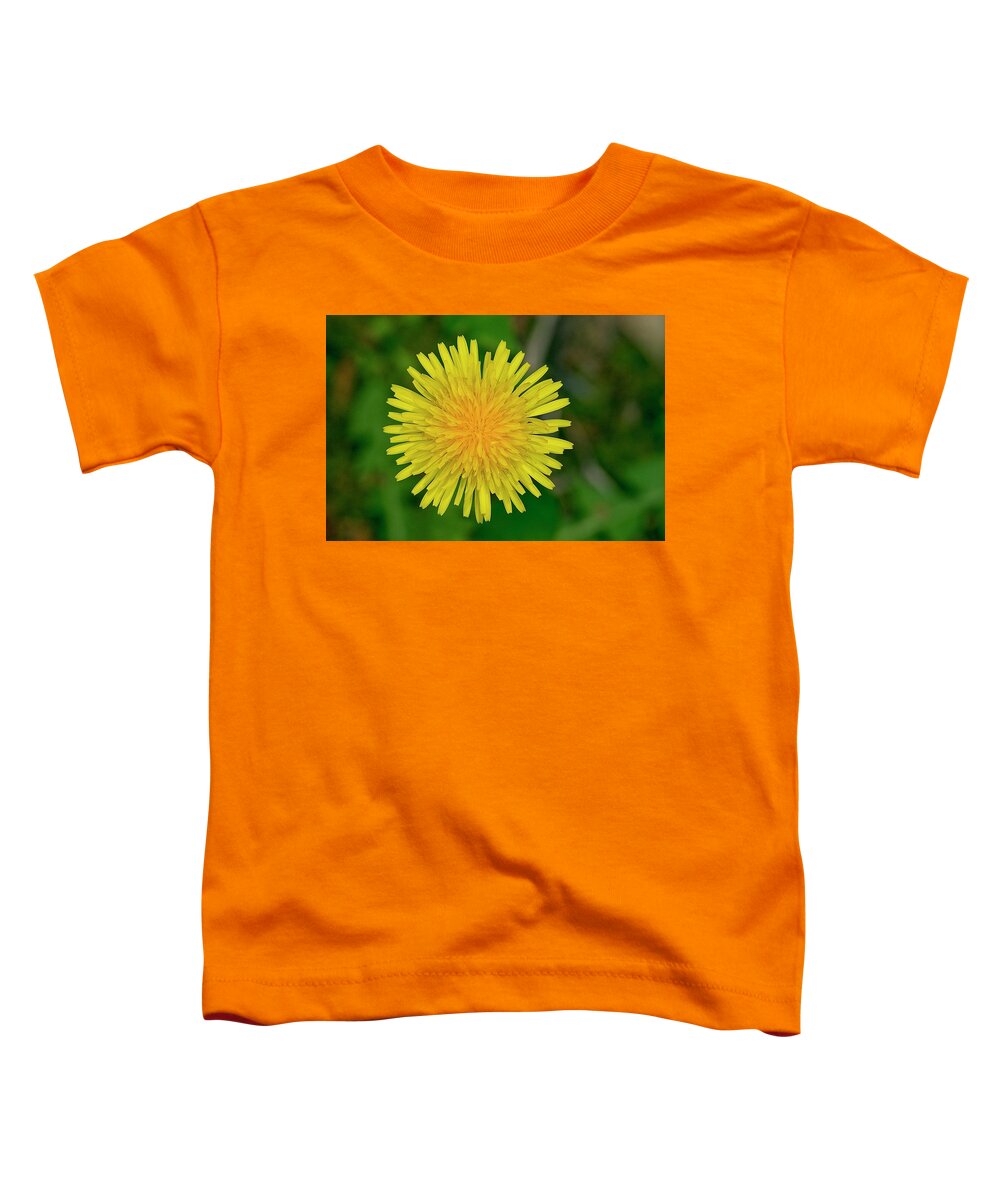 Dandelion. Wildflower Toddler T-Shirt featuring the photograph Dandelion Flower by Paul Rebmann