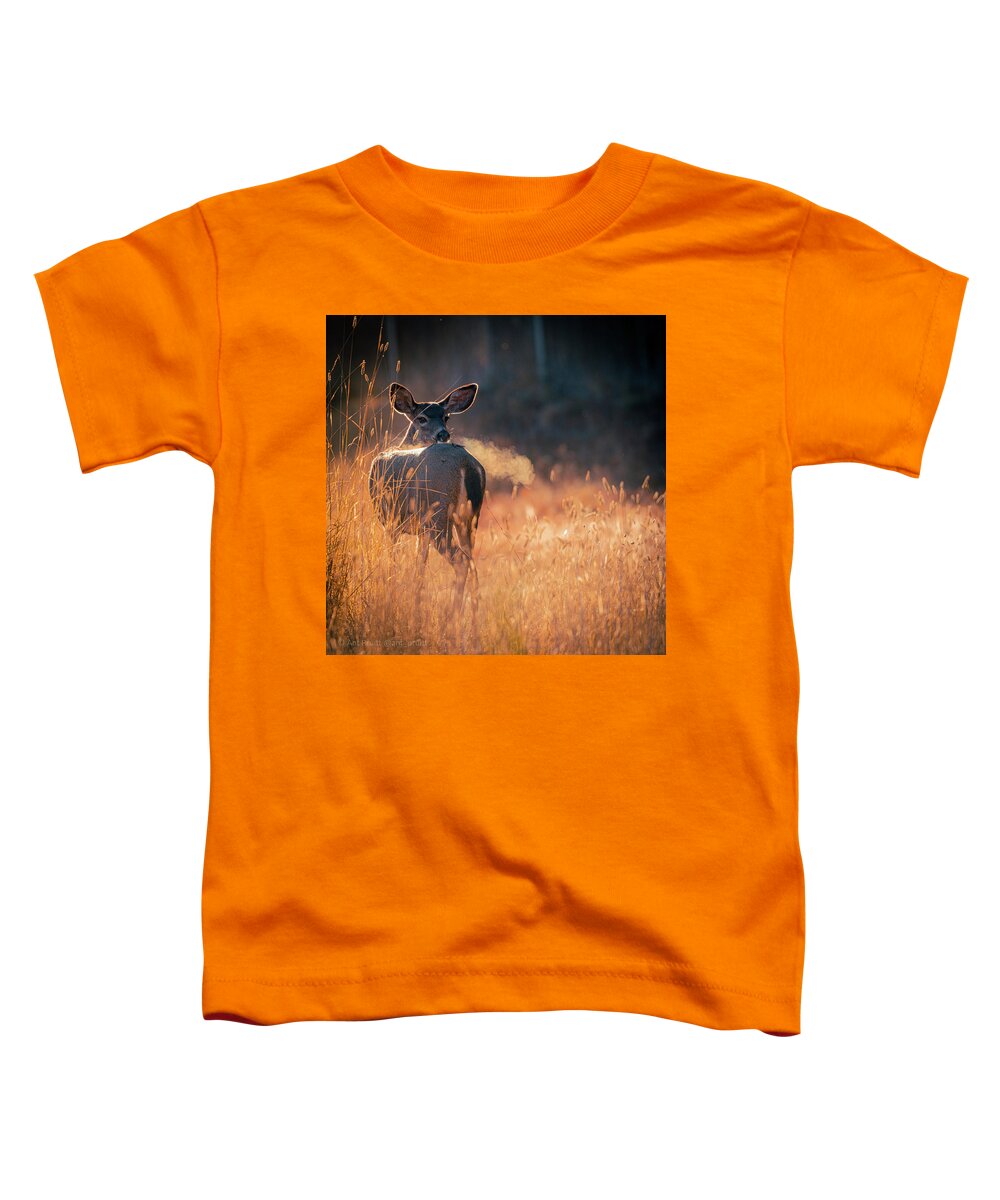 October Toddler T-Shirt featuring the photograph Deer Morning by Ant Pruitt