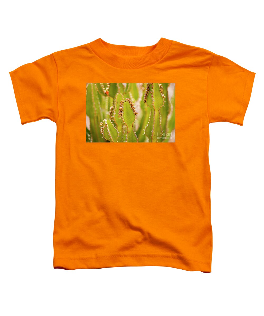 Candelabra Toddler T-Shirt featuring the photograph Desert Cactus Detail by THP Creative