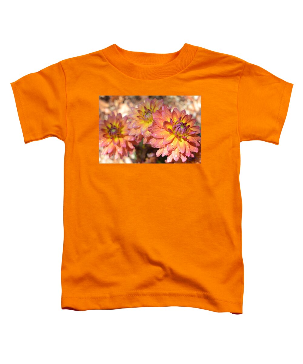 Dahlia Toddler T-Shirt featuring the photograph Dewy Dahlias by Amy Fose
