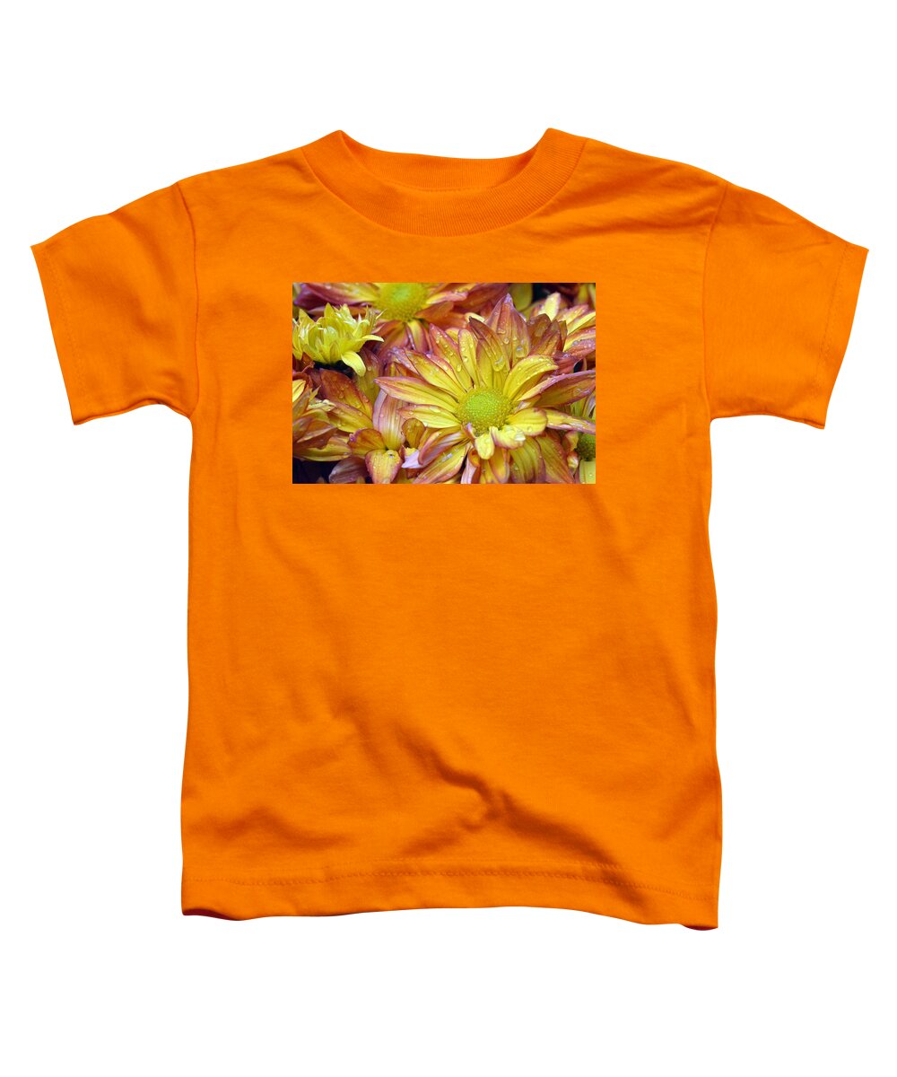 Daisy Toddler T-Shirt featuring the photograph Dewy Pink and Yellow Daisies 2 by Amy Fose