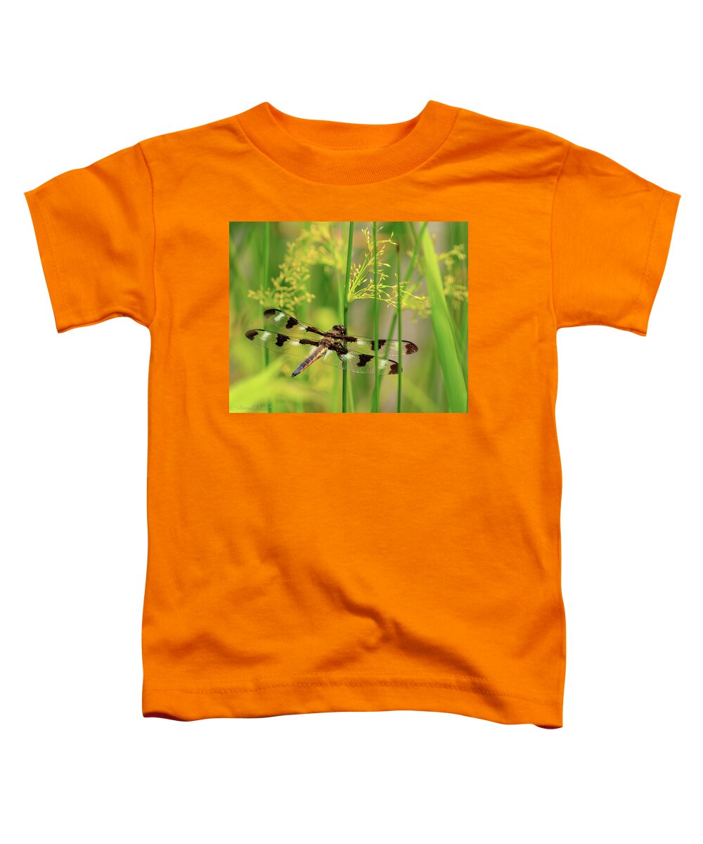 Dragonfly Toddler T-Shirt featuring the photograph Dragonfly by David Lee