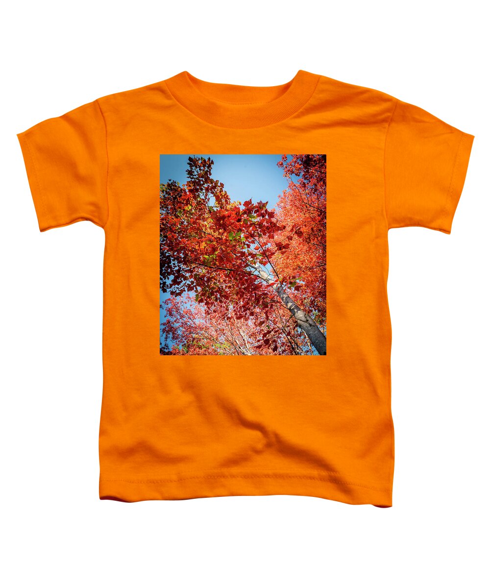 White Birch Toddler T-Shirt featuring the photograph Fall Colors in Acadia by GeeLeesa Productions