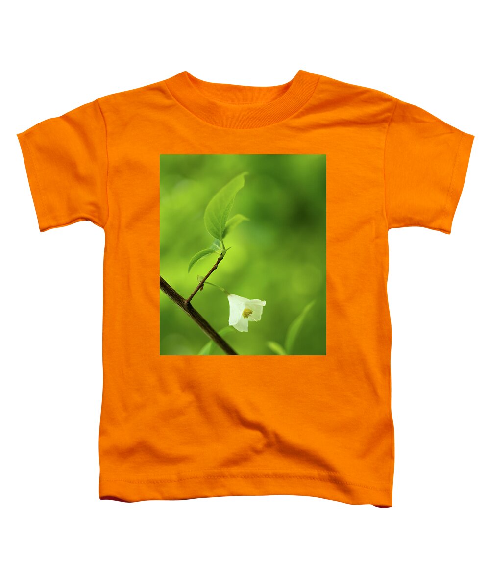 Fine Art Toddler T-Shirt featuring the photograph Flower of the snowdrop bush by Average Images