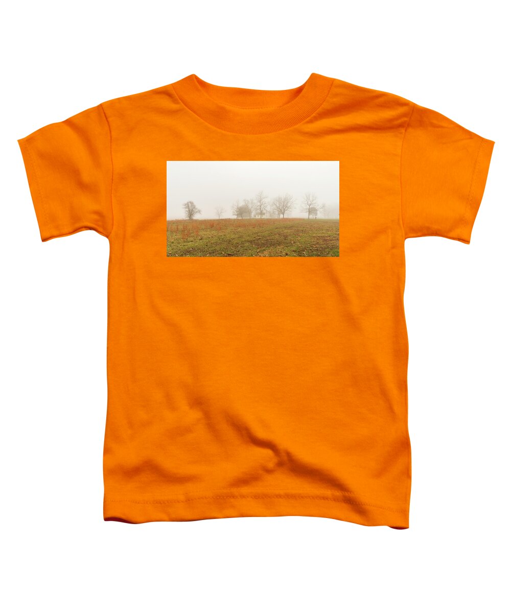 Landscape Toddler T-Shirt featuring the photograph Gettysburg Winter 2020 by Amelia Pearn