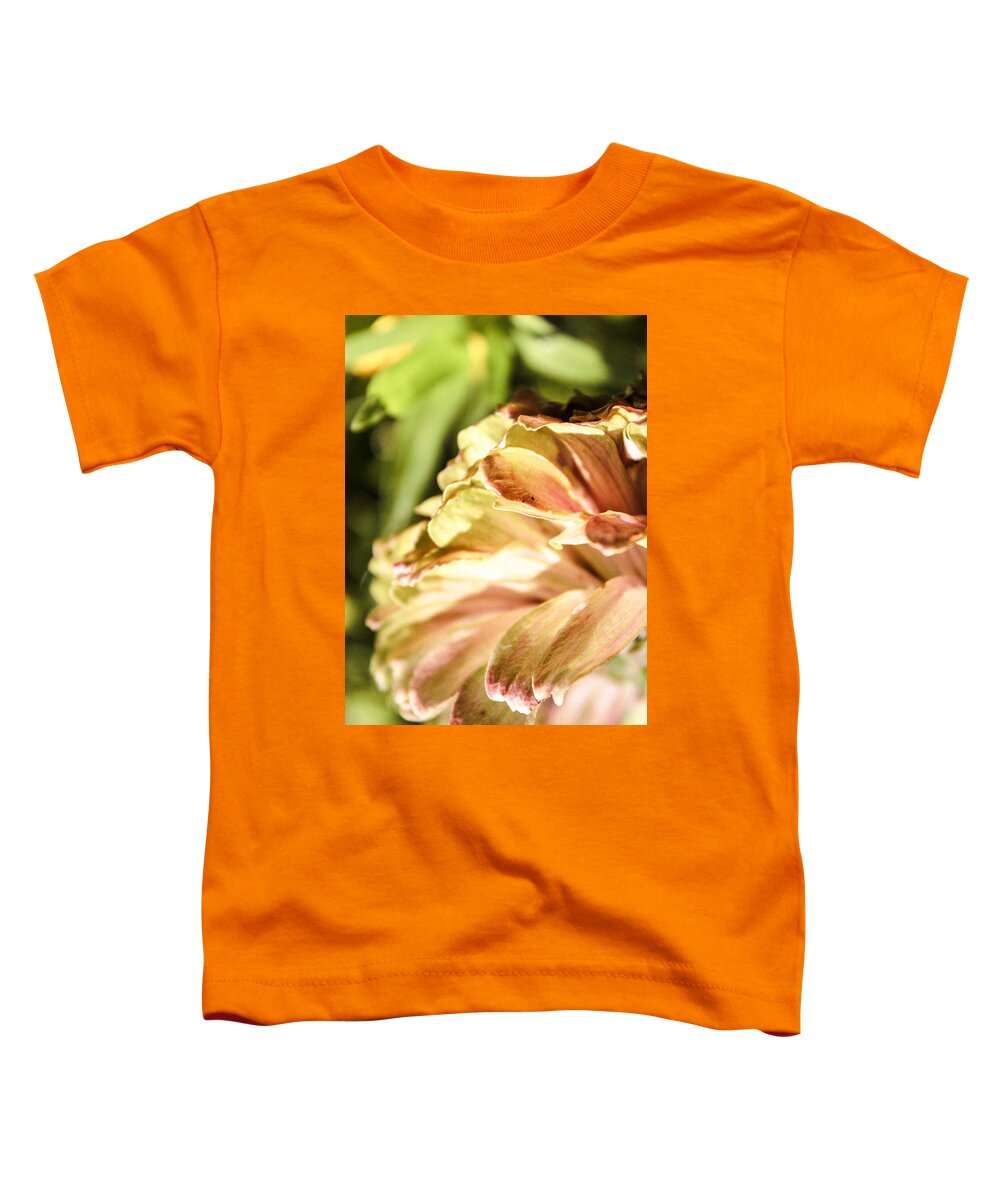 Zinnia Elegans Toddler T-Shirt featuring the photograph Glowing Petals by W Craig Photography
