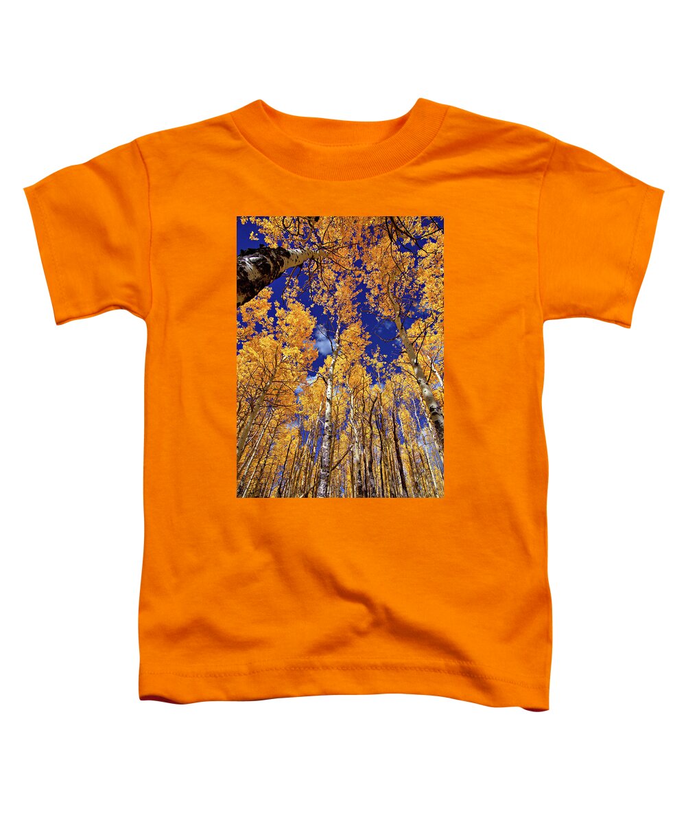 Fall Colors Toddler T-Shirt featuring the photograph Golden Aspens by Bob Falcone