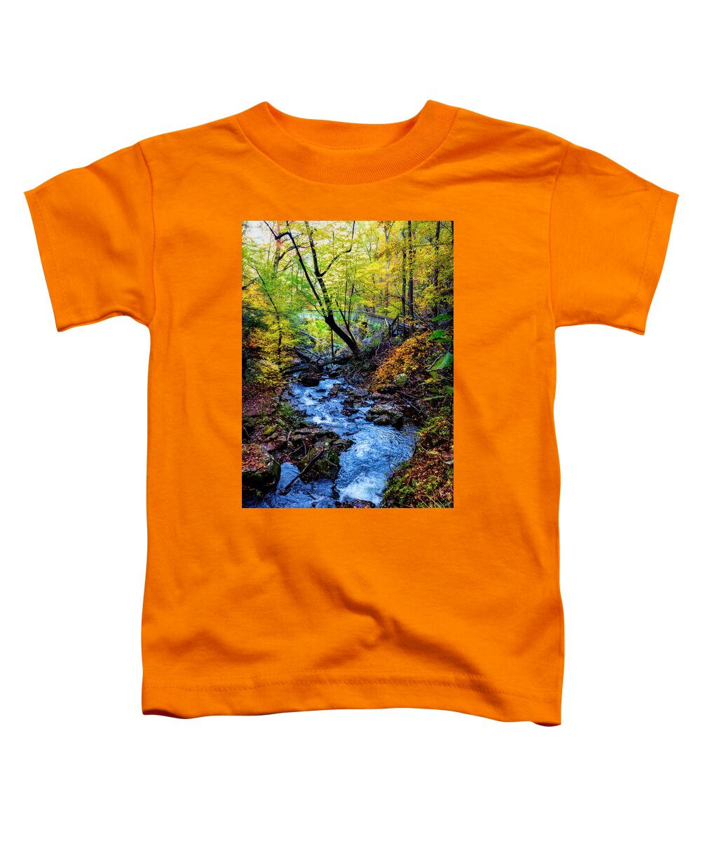 Cherokee Toddler T-Shirt featuring the photograph Golden Fall Cascades at Cloudland Canyon by Debra and Dave Vanderlaan