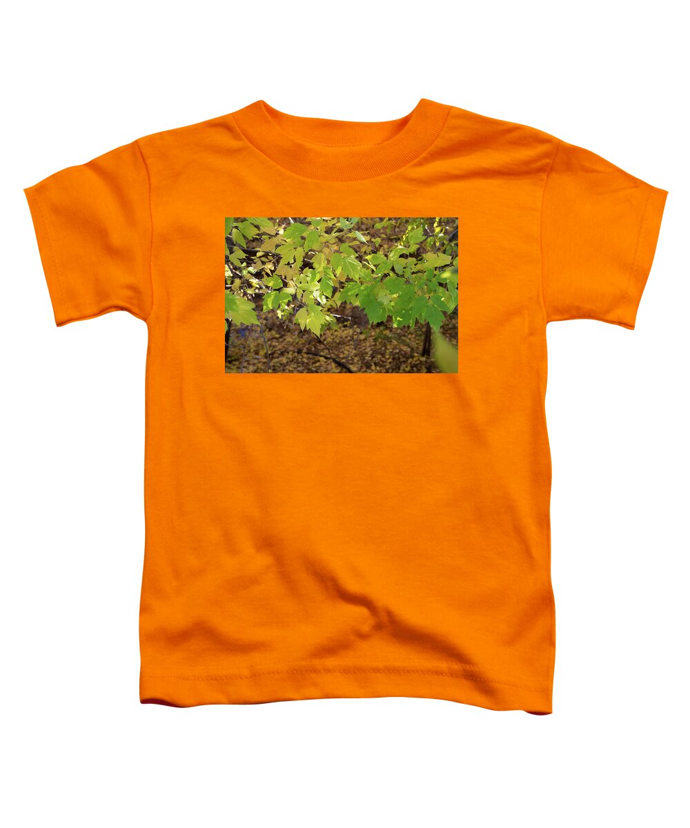Leaves Toddler T-Shirt featuring the photograph Green Fall Leaves, Santa Fe by Jennifer Kane Webb