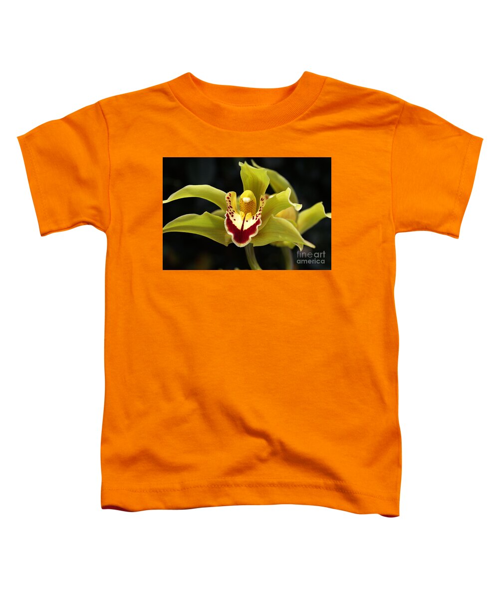 Asparagales Toddler T-Shirt featuring the photograph Green Orchid Flower by Joy Watson