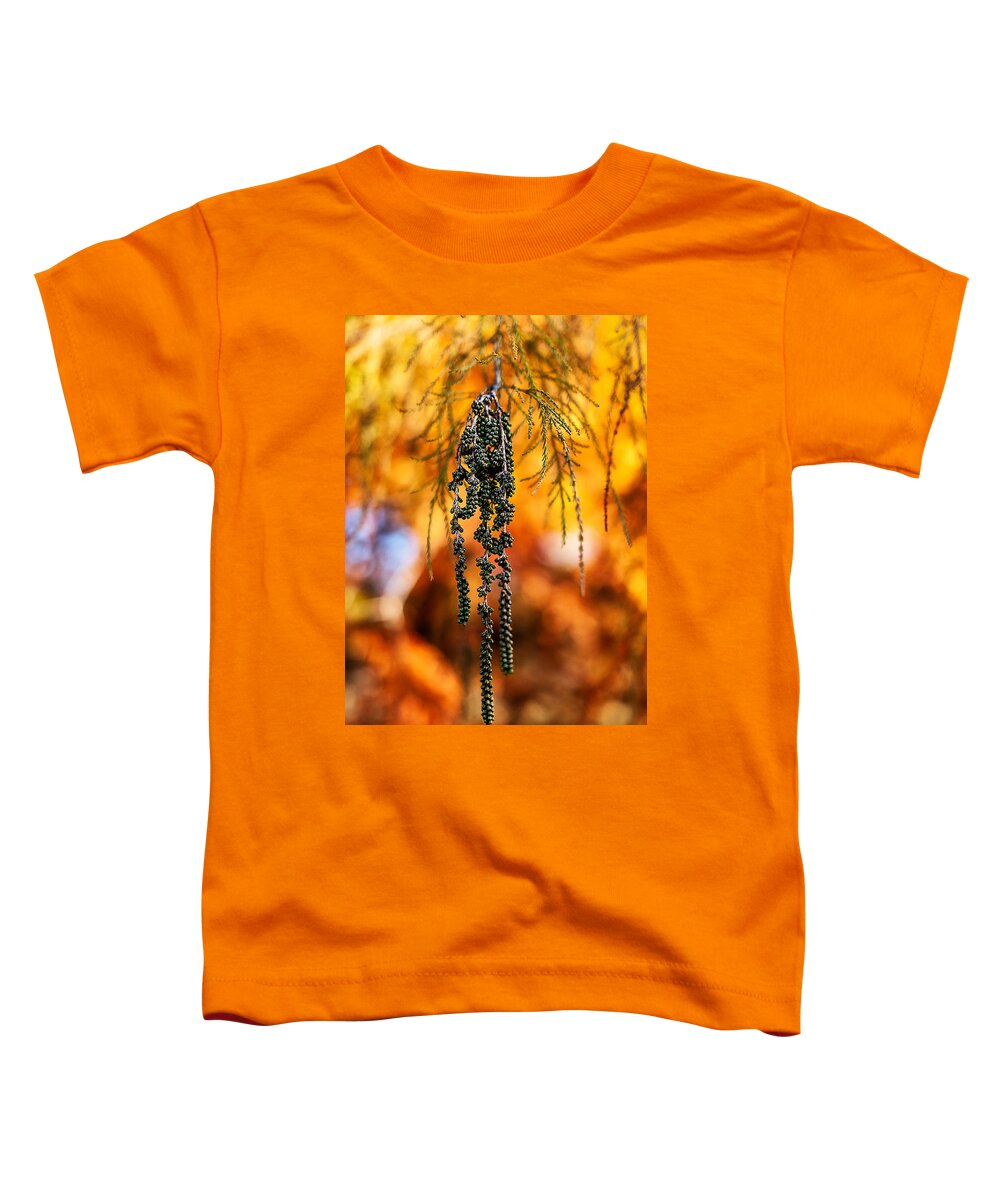 Leaves Toddler T-Shirt featuring the photograph Hanging Green Berries in Autumn by Stuart Litoff