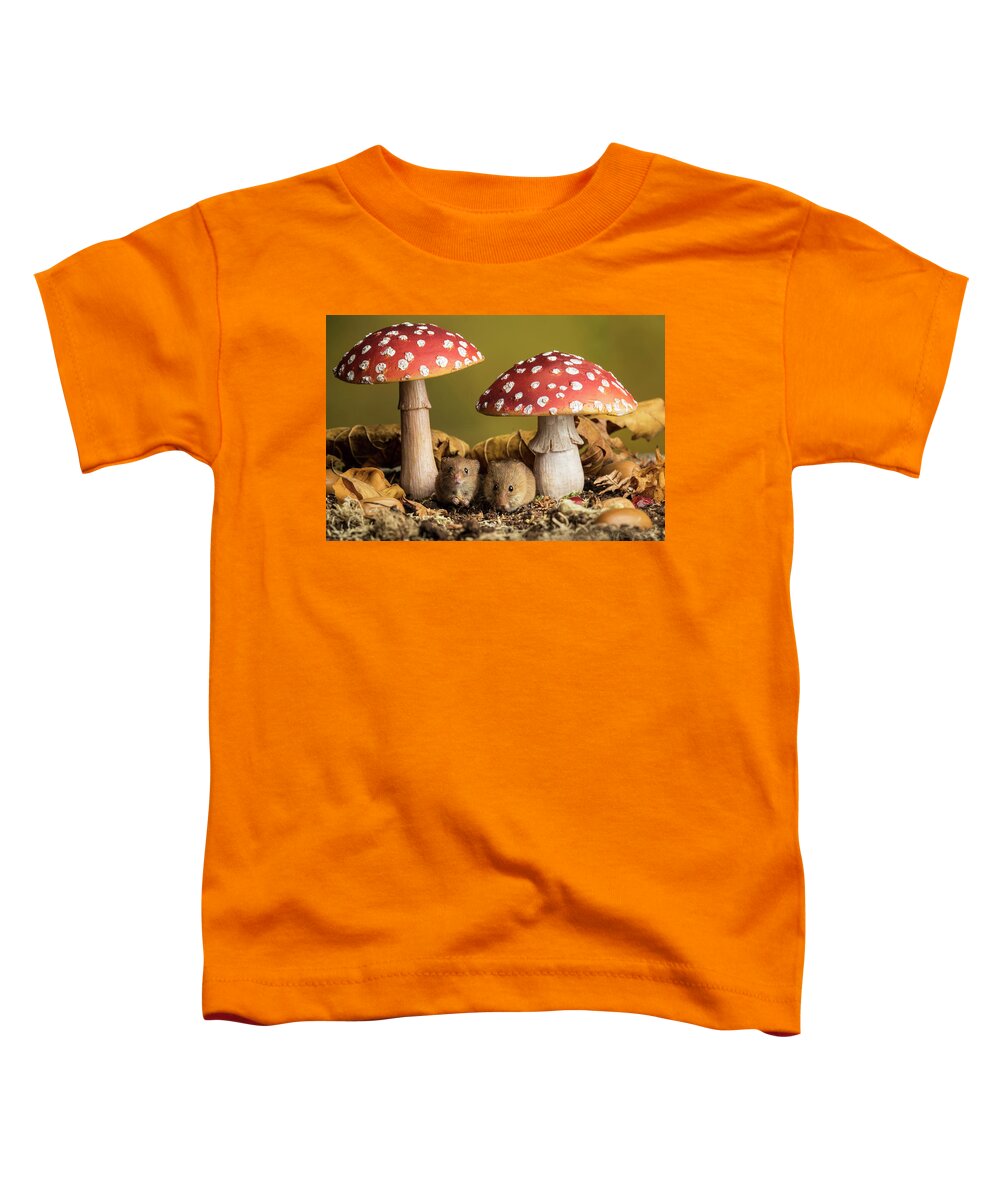 Harvest Toddler T-Shirt featuring the photograph Hm-8664 by Miles Herbert