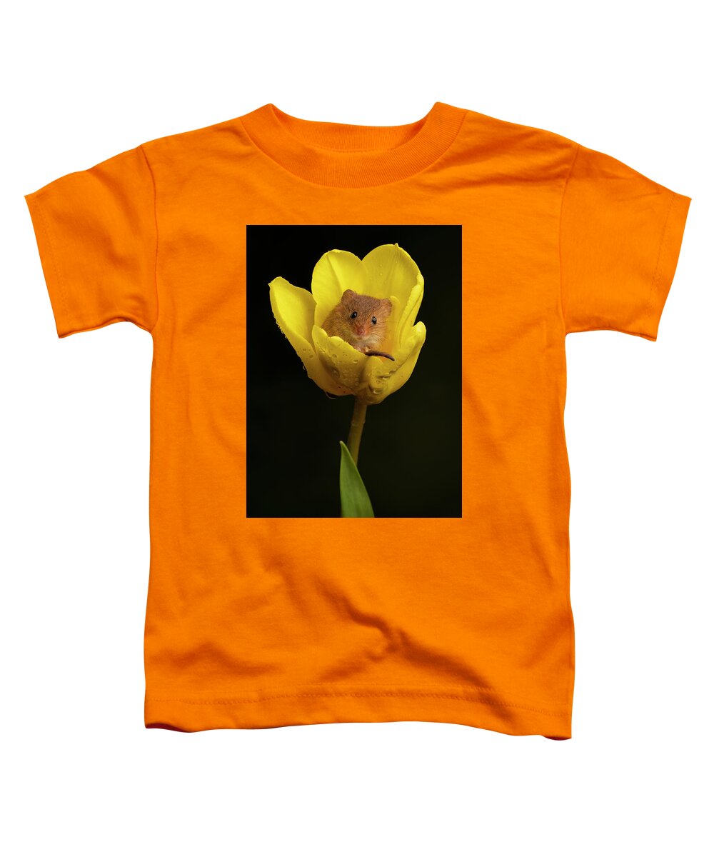 Harvest Toddler T-Shirt featuring the photograph HM Tulip 01634 by Miles Herbert
