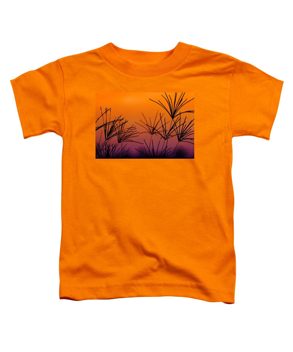 Nature Toddler T-Shirt featuring the photograph I Love a Sunburnt Country by Holly Kempe