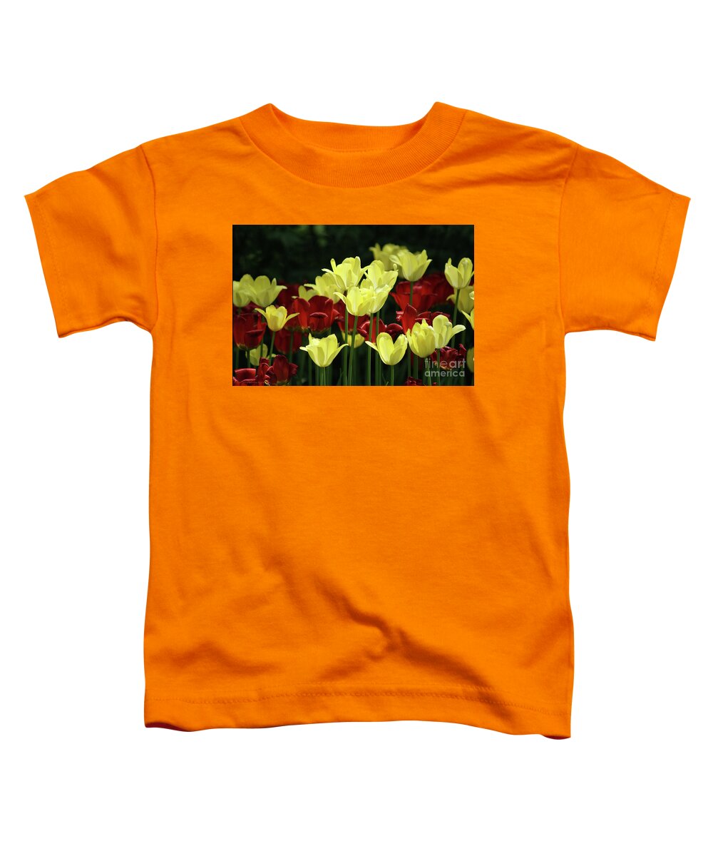 Photograph Tulips Toddler T-Shirt featuring the photograph Illuminated Beauty 4 by Dee Jobes Photography