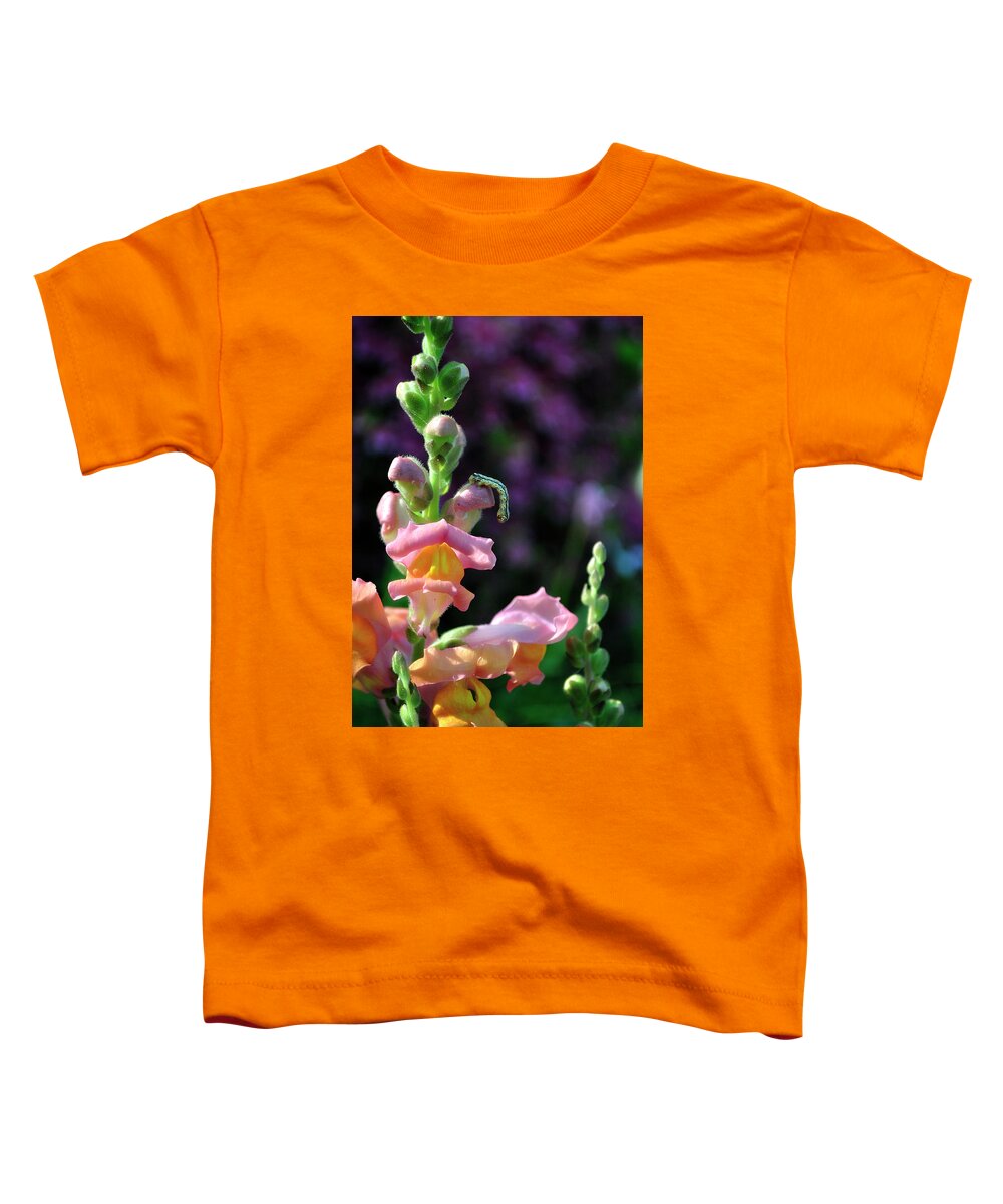 Flowers Toddler T-Shirt featuring the photograph Inch Worm by George Taylor