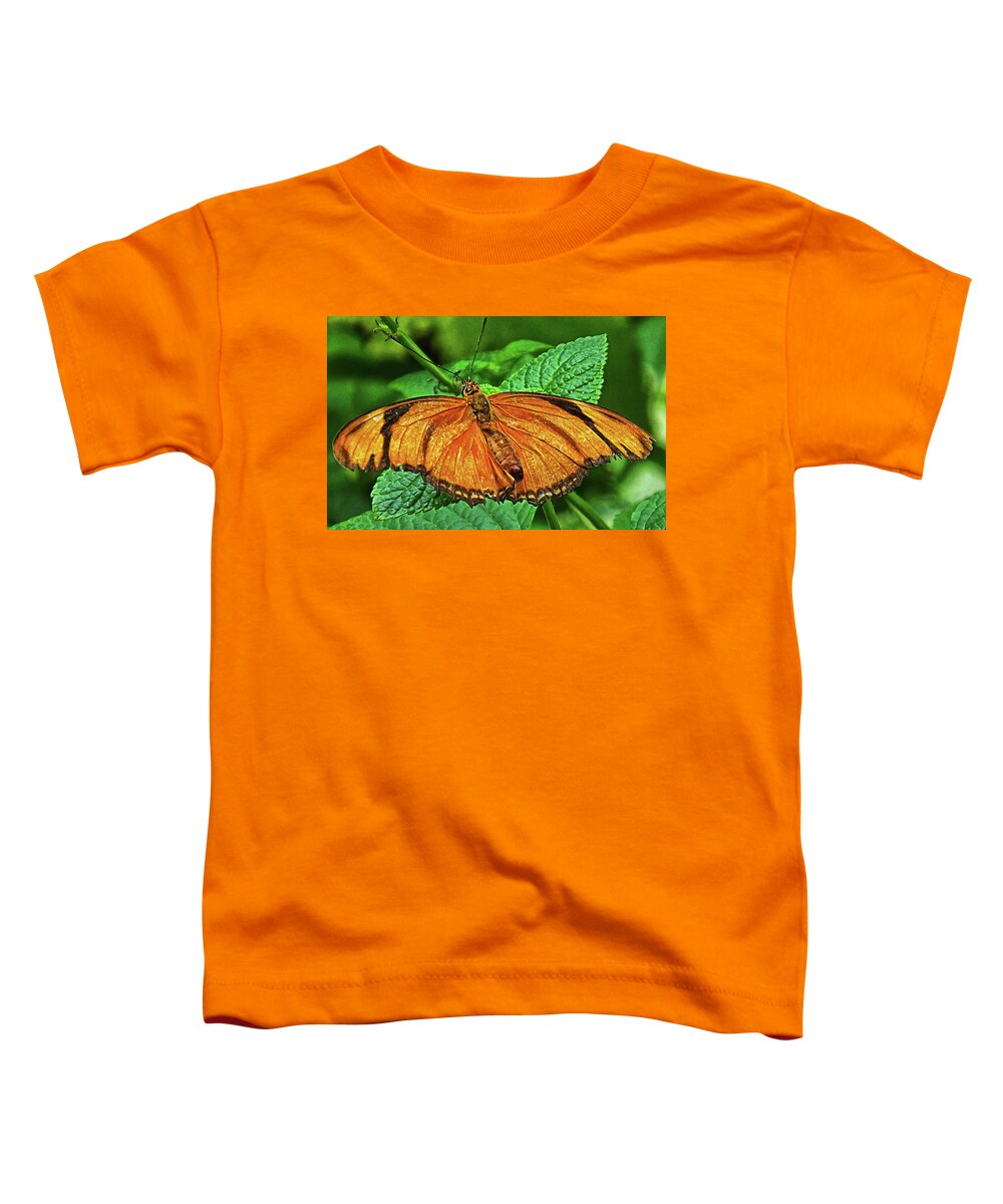 Butterfly Toddler T-Shirt featuring the photograph Julia Heliconian by Bill Barber