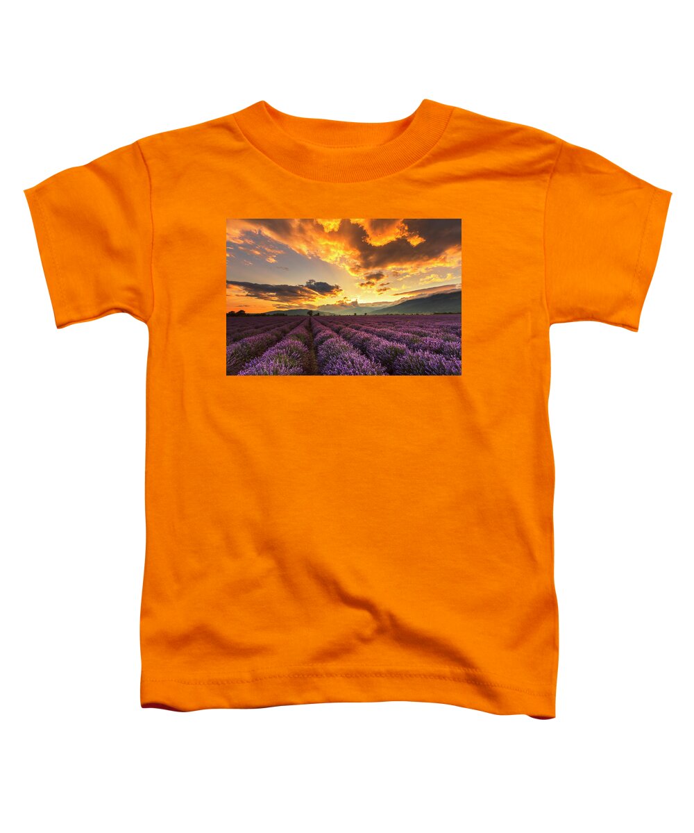Bulgaria Toddler T-Shirt featuring the photograph Lavender Sun by Evgeni Dinev