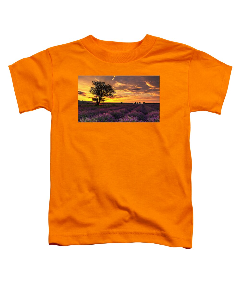 Bulgaria Toddler T-Shirt featuring the photograph Lavender Sunrise by Evgeni Dinev