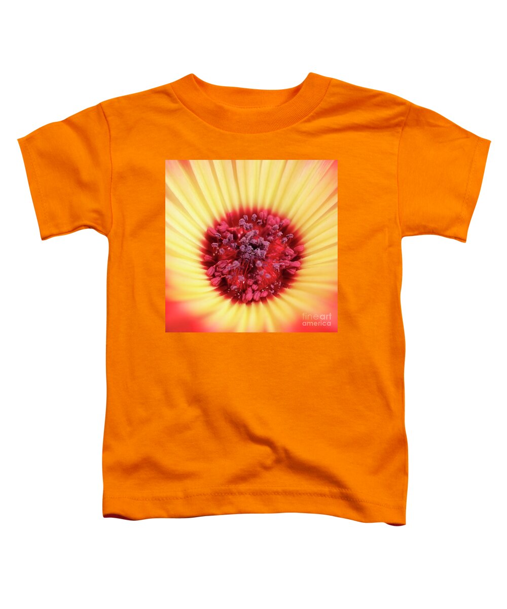 Mesembryanthemum Toddler T-Shirt featuring the photograph Mesembryanthemum Square by Terri Waters