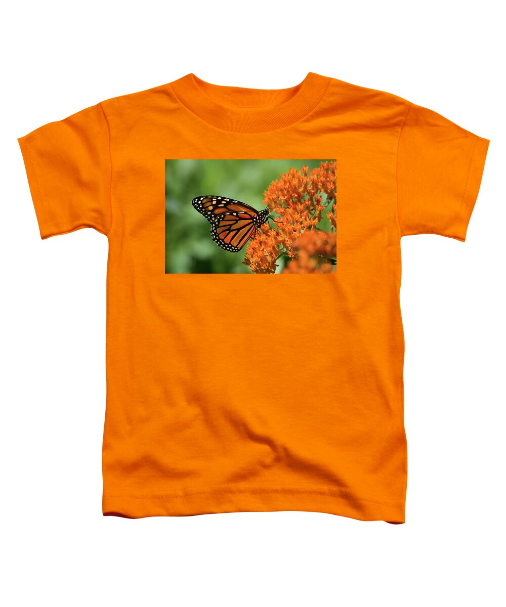 Monarch Toddler T-Shirt featuring the photograph Monarch by Rod Seel