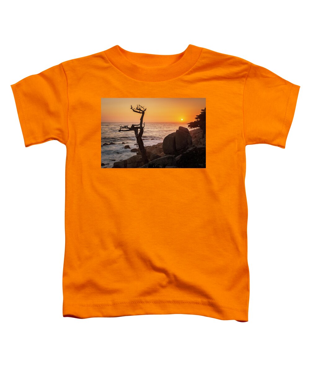 17 Mile Drive Toddler T-Shirt featuring the photograph Monterey Peninsula VII Color by David Gordon