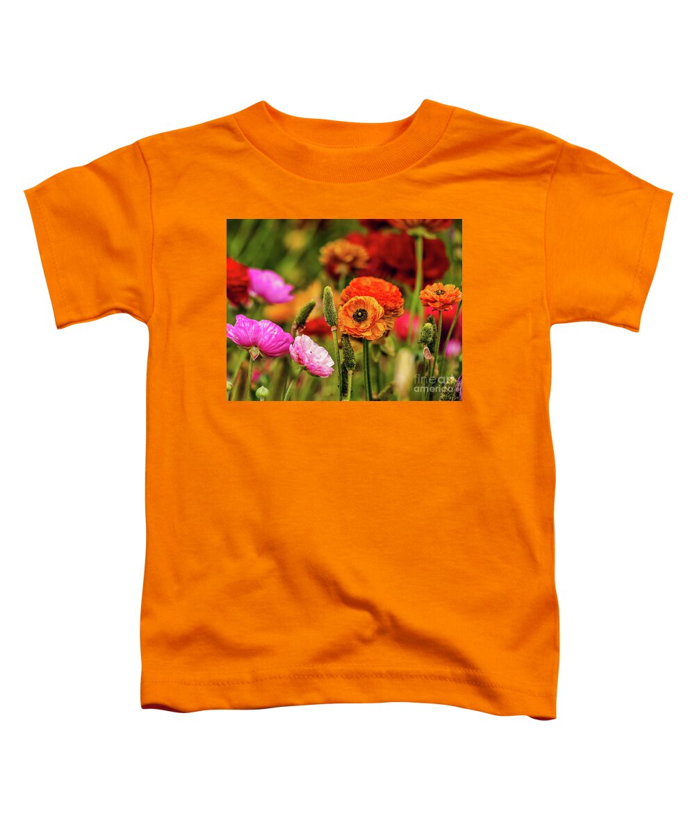 Persian Buttercups Toddler T-Shirt featuring the photograph Multi-colored Persian Buttercups by Abigail Diane Photography