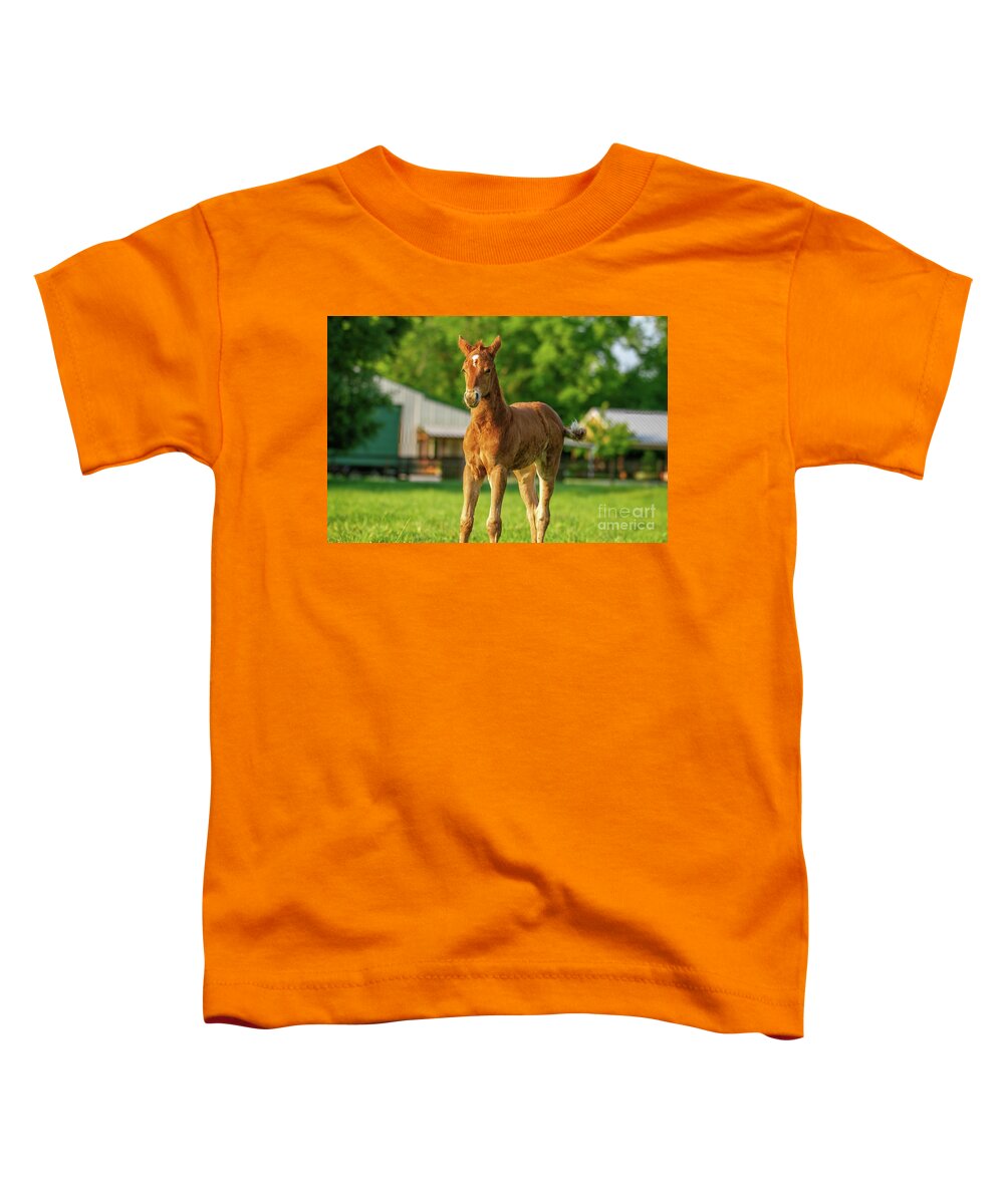 Horse Toddler T-Shirt featuring the photograph New Year Baby by Scott Pellegrin