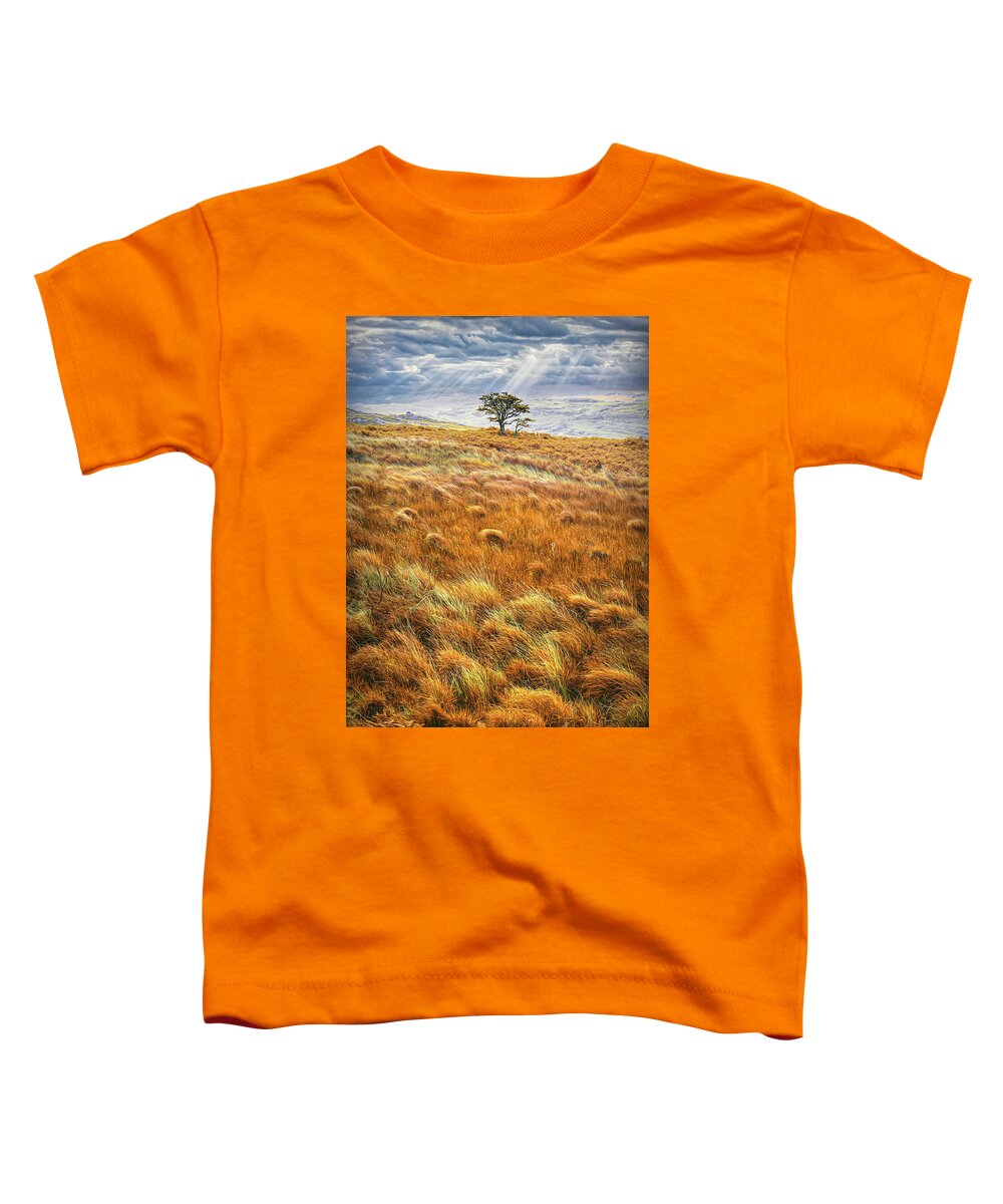Clouds Toddler T-Shirt featuring the photograph One Tree in the Autumn Irish Mist by Debra and Dave Vanderlaan