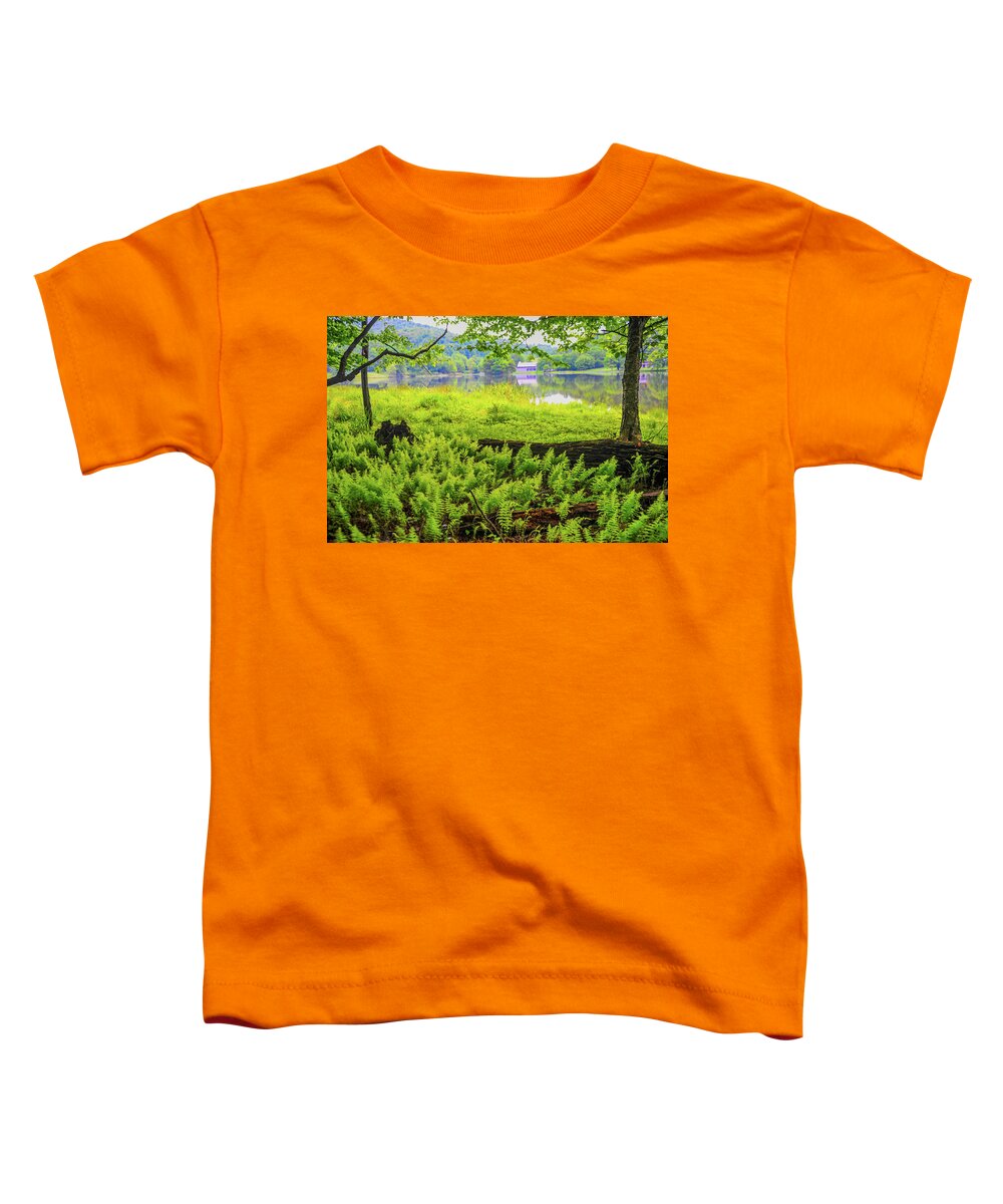 Virginia Toddler T-Shirt featuring the photograph Peaks of Otter in Virginia by James C Richardson