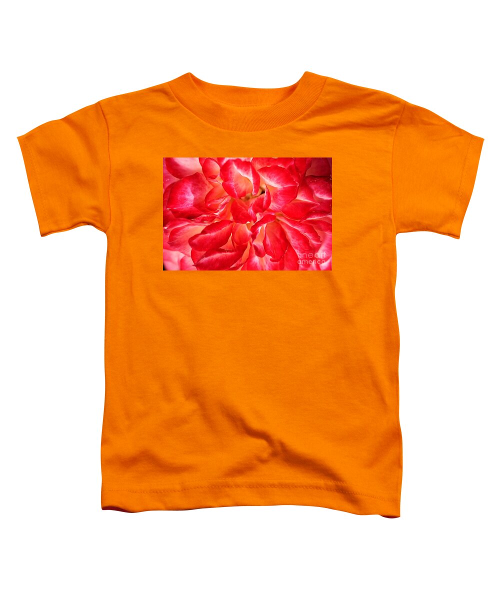 Joy Watson Toddler T-Shirt featuring the photograph Petals Of Rose by Joy Watson