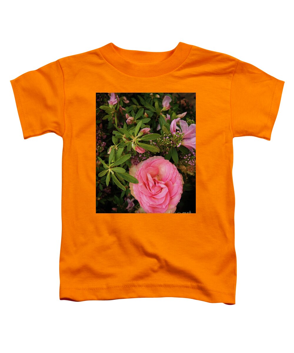 Pink Rose X230330-154 Toddler T-Shirt featuring the photograph Pink Rose x230330-154 by Dorothy Lee