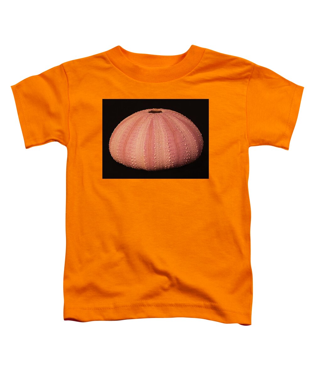 Sea Urchin Toddler T-Shirt featuring the photograph Pink Sea Urchin Shell by Charles Floyd