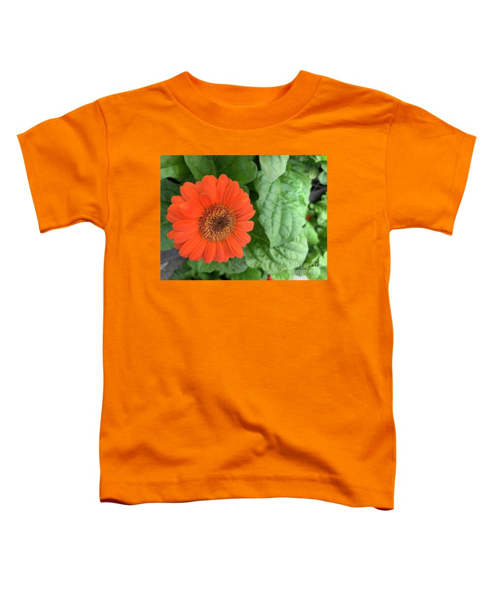 Flowers Toddler T-Shirt featuring the photograph Proud Orange Flower by Catherine Wilson