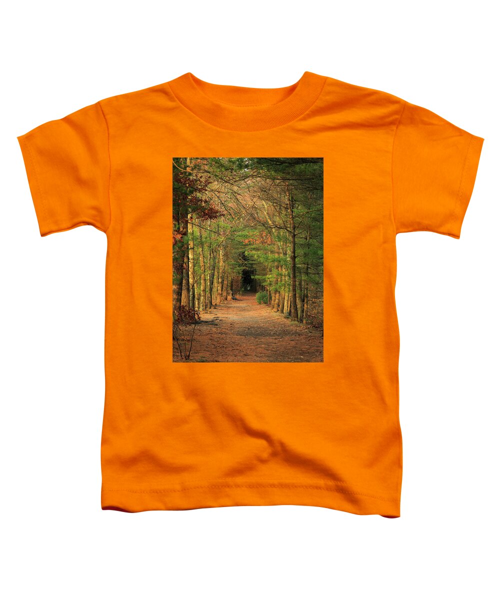 Rail Trails Toddler T-Shirt featuring the photograph Rail Path by David Lee