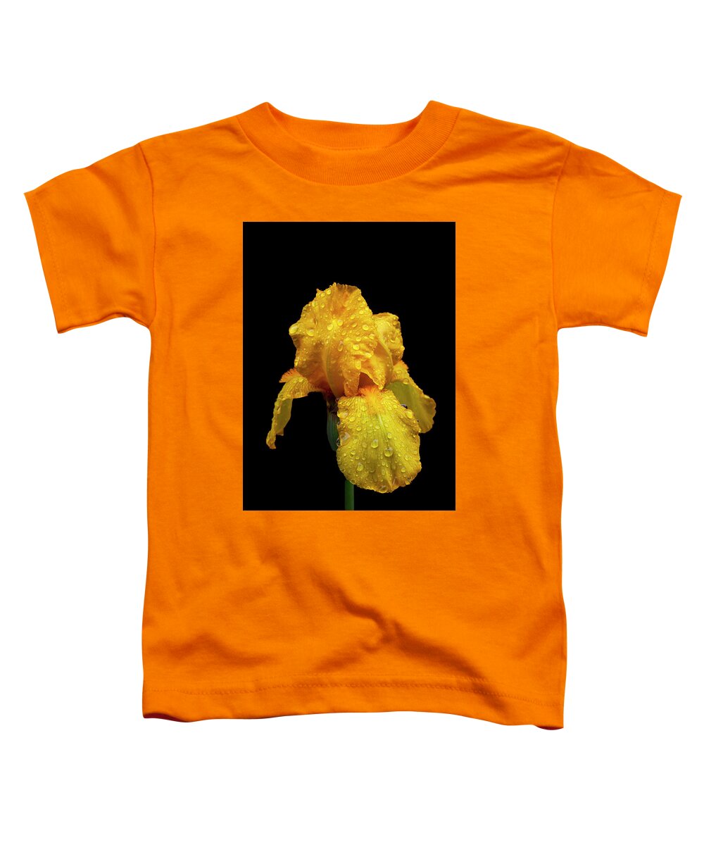 Carolina Toddler T-Shirt featuring the photograph Raindrops on the Yellow Iris by Debra and Dave Vanderlaan