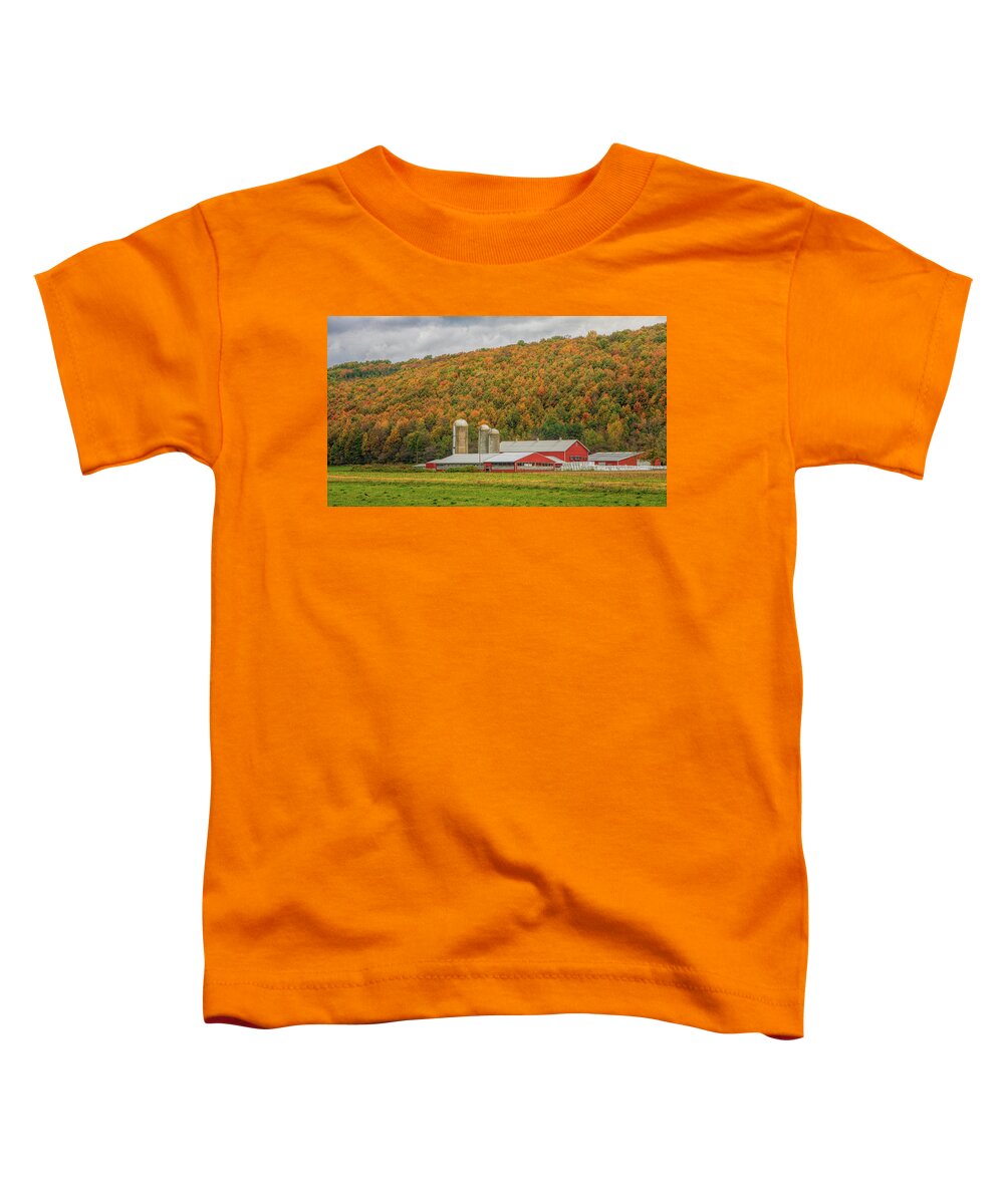 Barn Toddler T-Shirt featuring the photograph Red Barns in Autumn by Rod Best