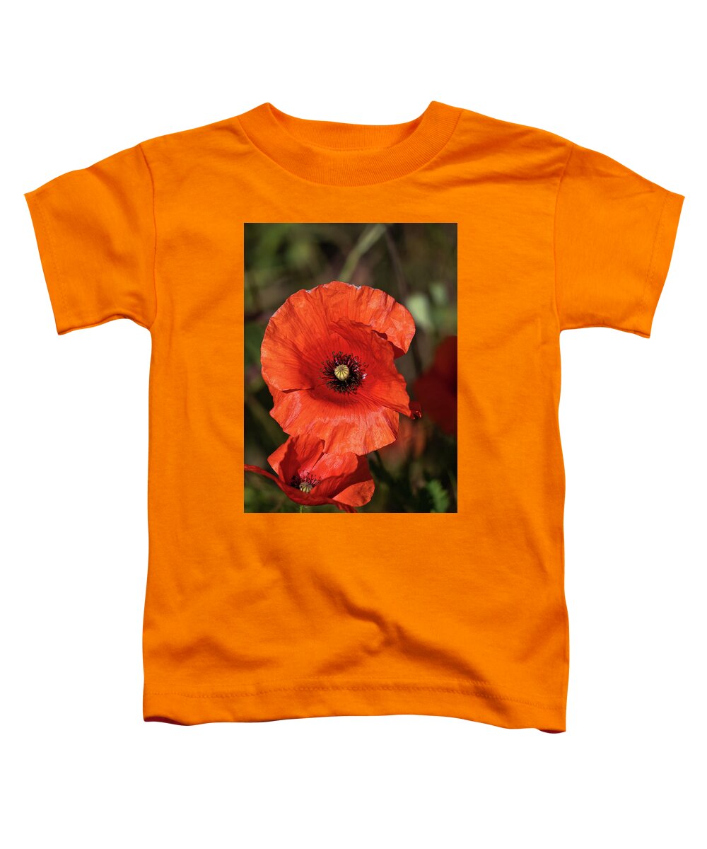 Poppy Toddler T-Shirt featuring the photograph Red Poppy Flower In Bloom by Artur Bogacki