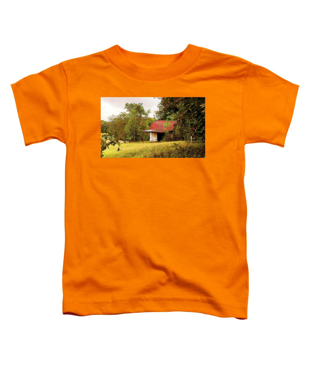 Red Roof Barn In Greenville County South Carolina Toddler T-Shirt featuring the photograph Red Roof Barn In Greenville County South Carolina by Bellesouth Studio