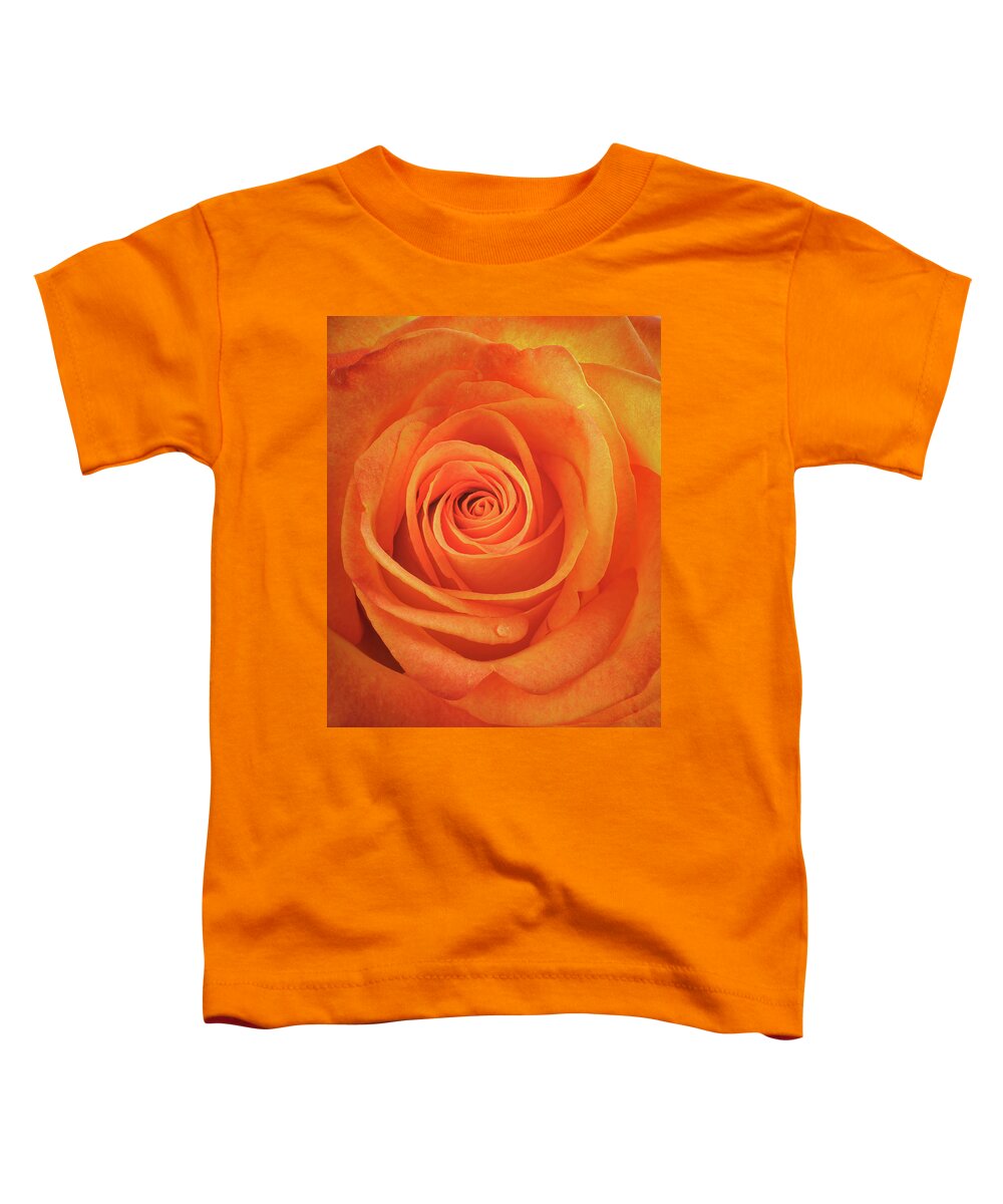 Rose Toddler T-Shirt featuring the photograph Red Rose Up Close by Gary Slawsky