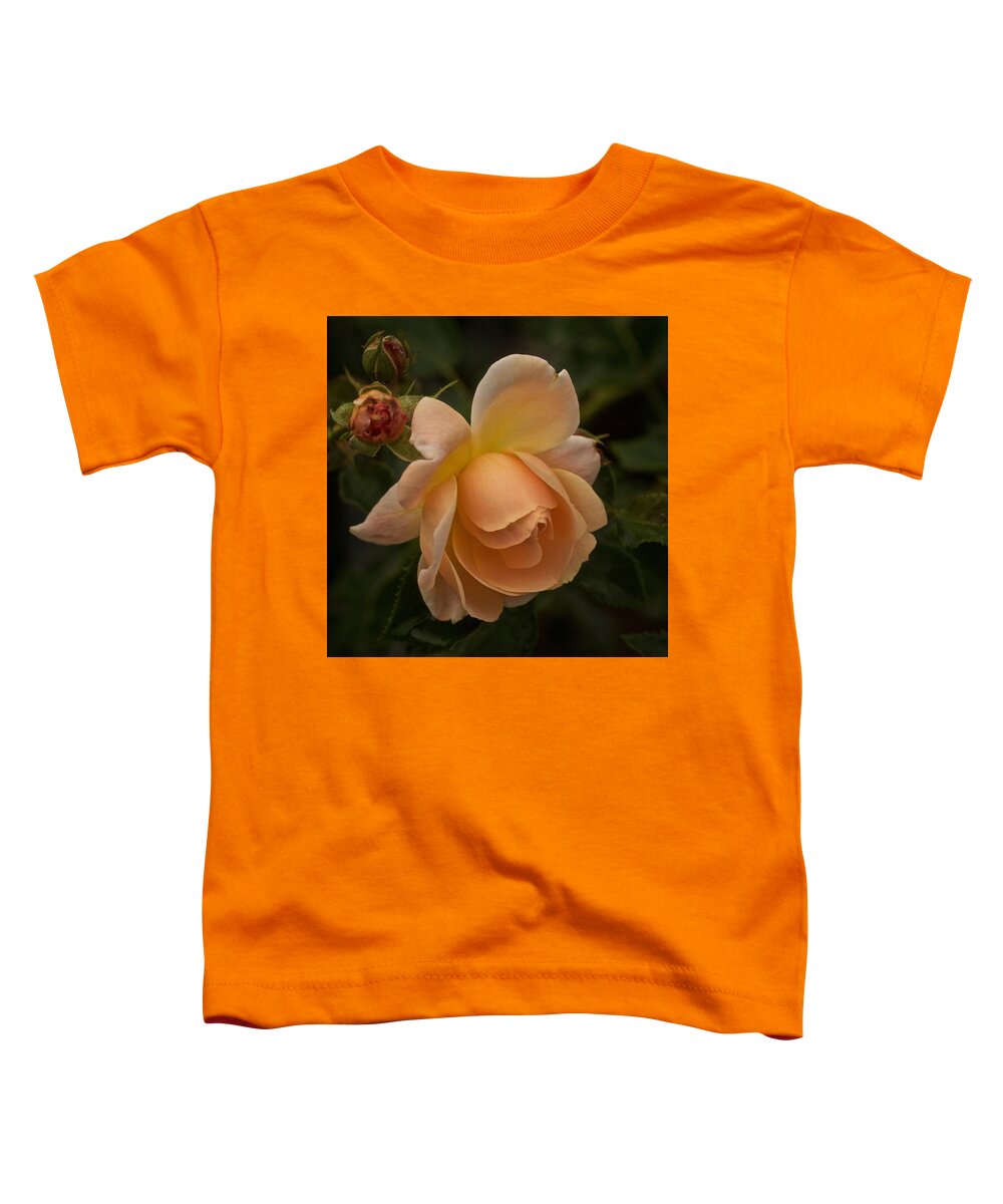 Rose Toddler T-Shirt featuring the photograph Rose Singularity by Richard Cummings