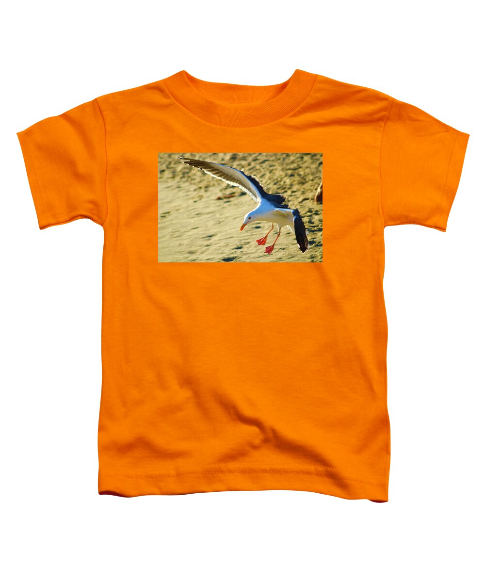 Birds Toddler T-Shirt featuring the photograph Seagull in Motion by Marcus Jones