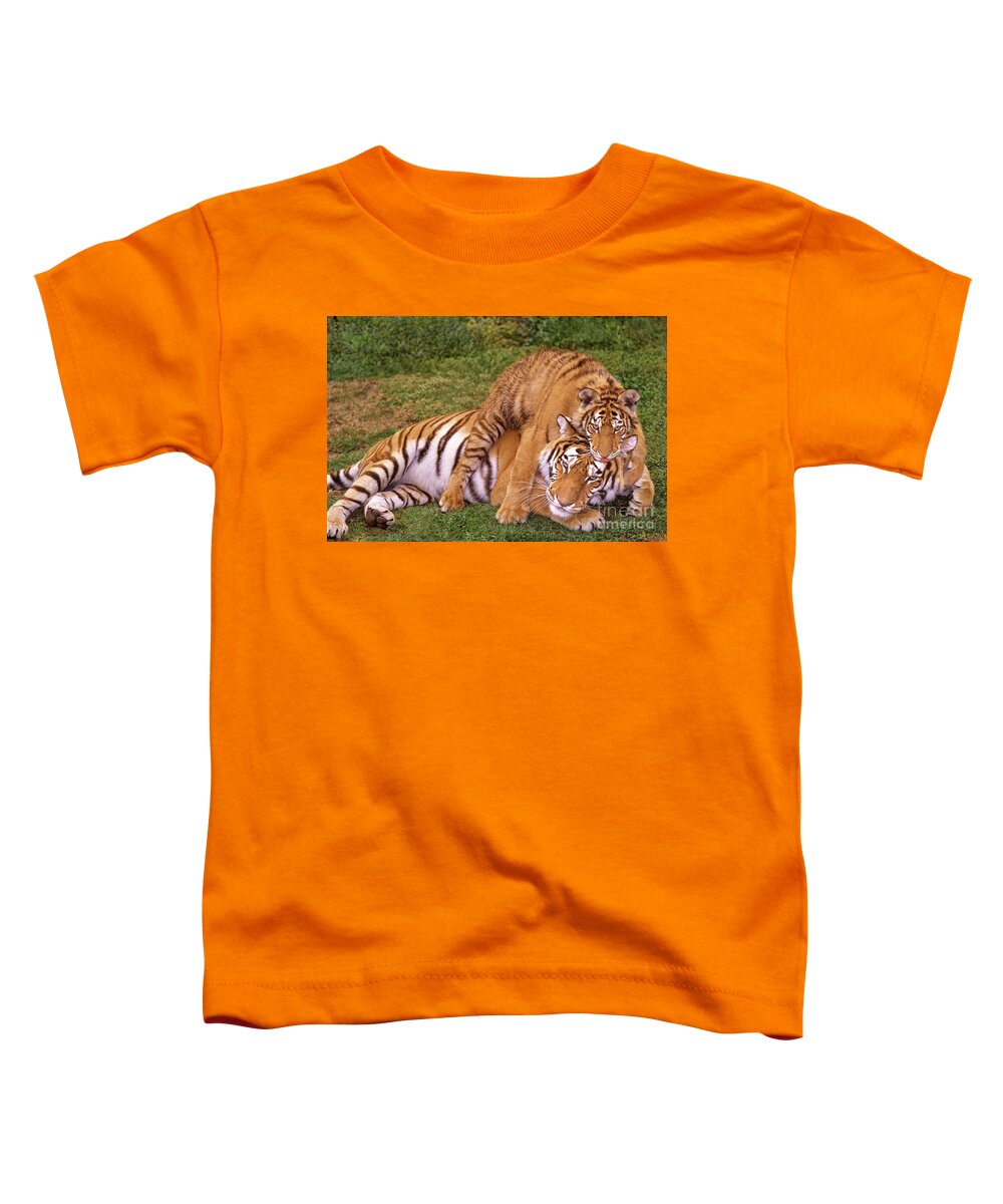 Asian Wildlife Toddler T-Shirt featuring the photograph Siberian Tigers Parenting Is A Challenge by Dave Welling