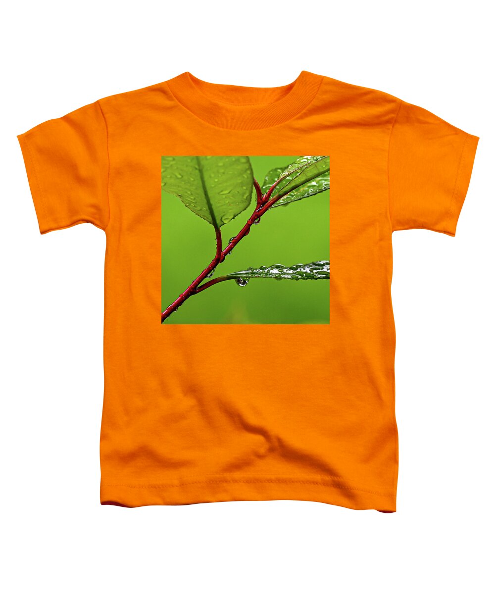 Spring Toddler T-Shirt featuring the photograph Spring Rain by Kevin Suttlehan