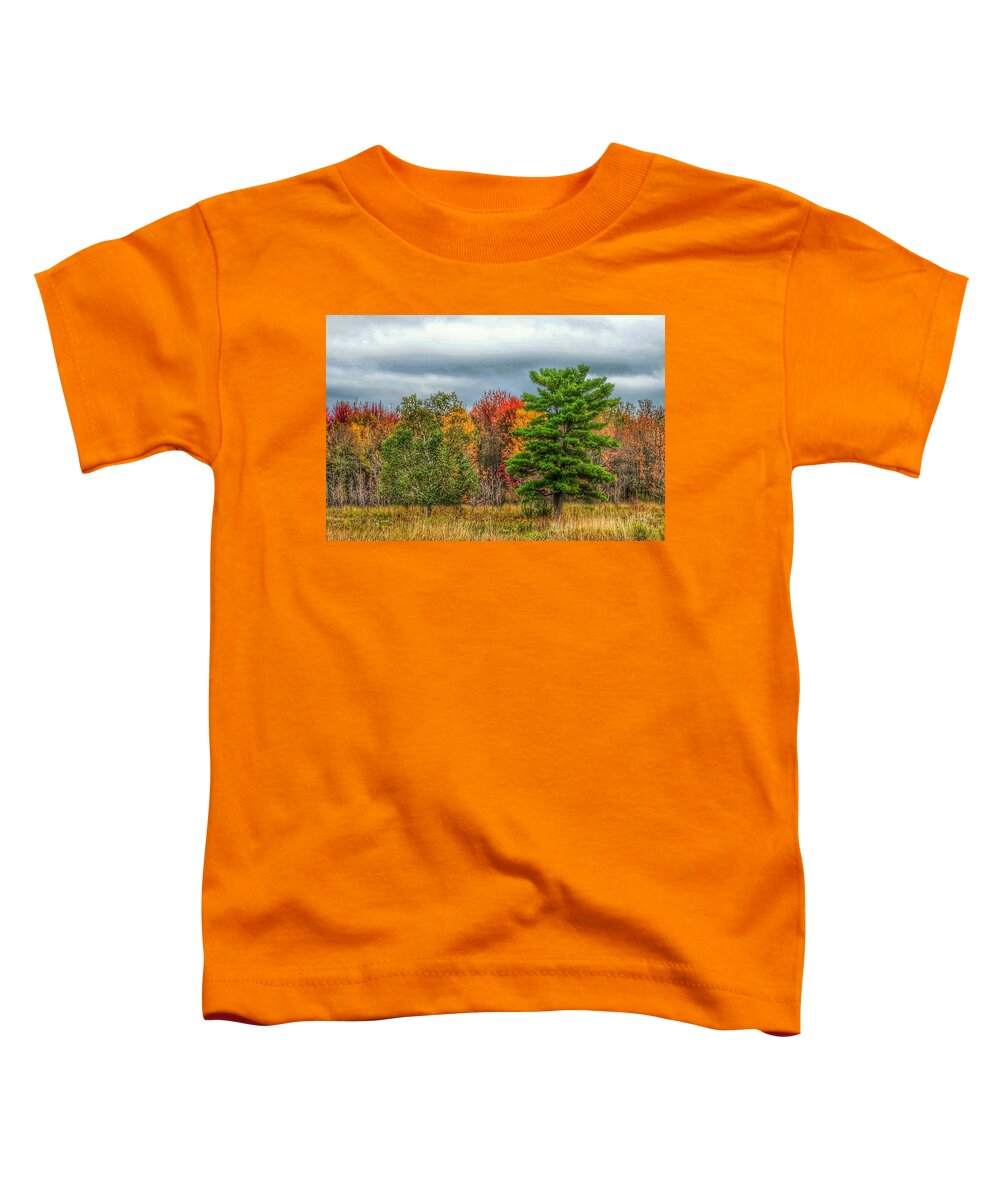 Fall Woods Tree New York Chicago Minneapolis Twin Cities St Paul Toddler T-Shirt featuring the photograph Summer's End by Windshield Photography