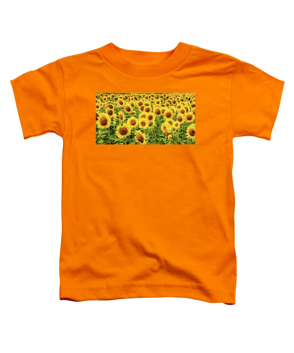 Sunflowers Toddler T-Shirt featuring the photograph Sunflowers As Far As The Eye Can See by Marcy Wielfaert