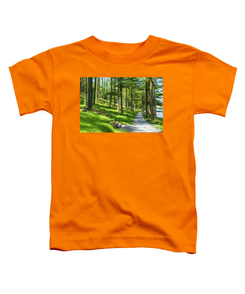 Cumbria Toddler T-Shirt featuring the photograph Sunlight through Burtness Wood, English Lake District by Neale And Judith Clark