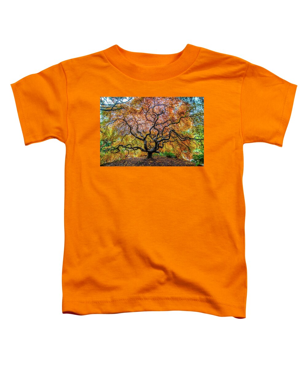 Maple Toddler T-Shirt featuring the photograph Sunny Japanese Maple by Jerry Cahill