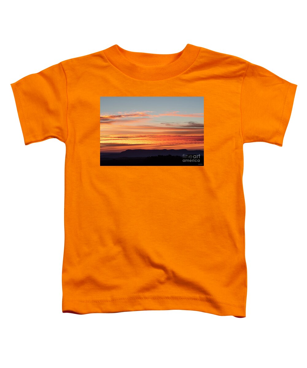Natanson Toddler T-Shirt featuring the photograph Sunrise Halloween 2020 by Steven Natanson