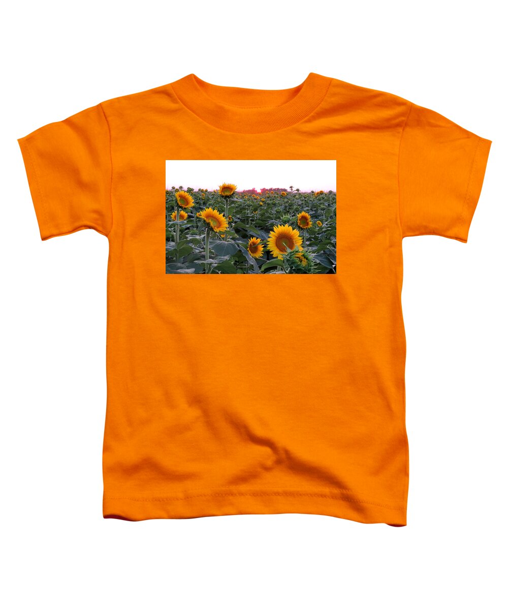 Kansas Sunflower Toddler T-Shirt featuring the photograph Sunset Sunflowers by Keith Stokes